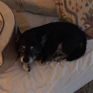 Meet your Posher, Cindy